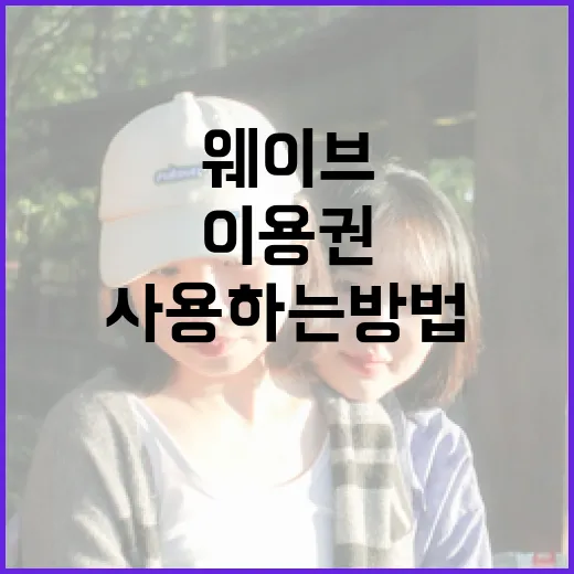 웨이브 이용권을 효과적으로 사용하는 방법 - 요약
