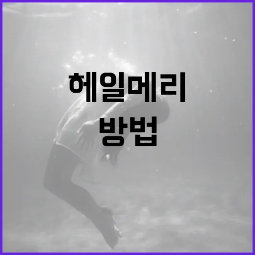 헤일메리를 효과적으로 사용하는 방법 - 요약