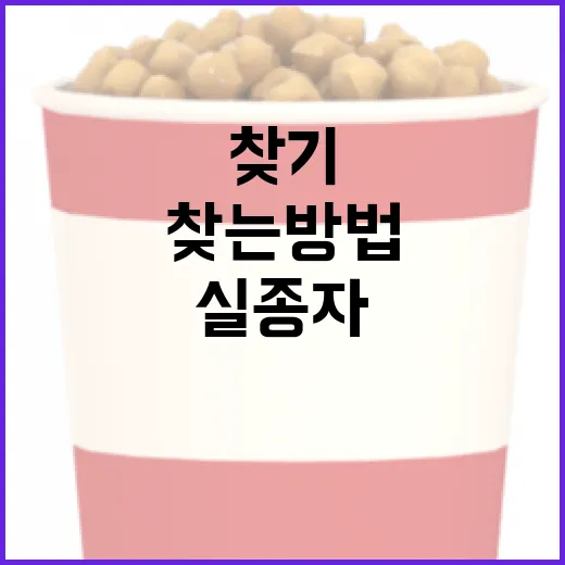 사라진 그녀를 찾는 방법: 실종자를 찾기 위한 실질적인 팁 - 요약