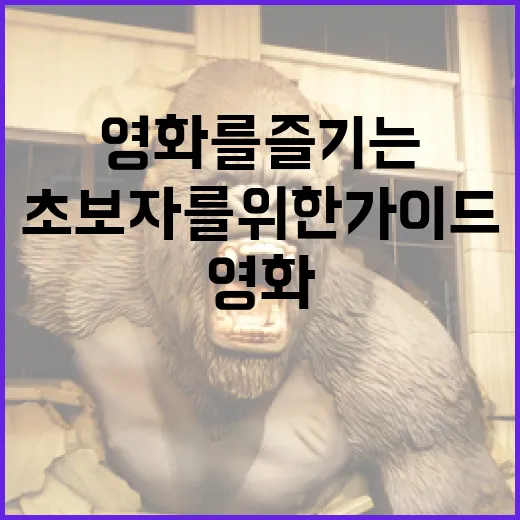 신명 영화를 즐기는 방법: 초보자를 위한 가이드 - 요약