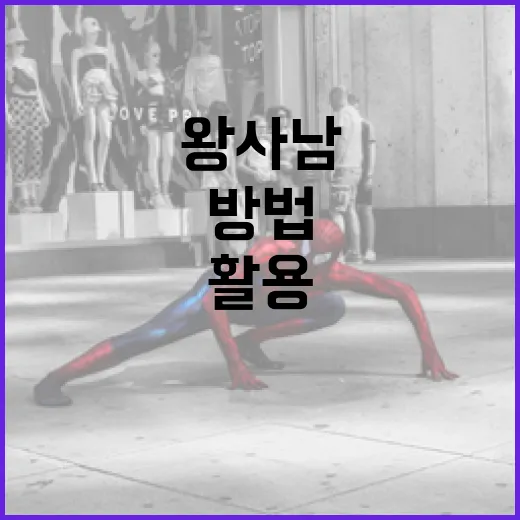 왕사남을 이해하고 활용하는 방법 - 요약