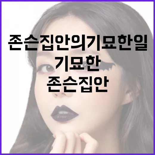 존슨 집안의 기묘한 일을 이해하는 방법 - 요약