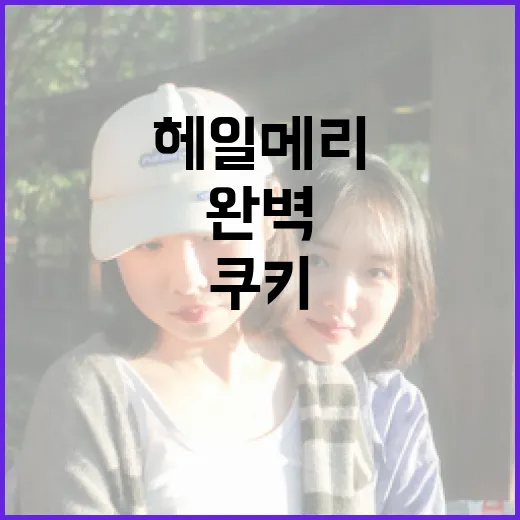 헤일메리 쿠키로 완벽한 디저트를 만드는 방법 - 요약