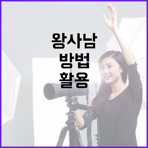 왕사남을 이해하고 활용하는 방법 - 요약