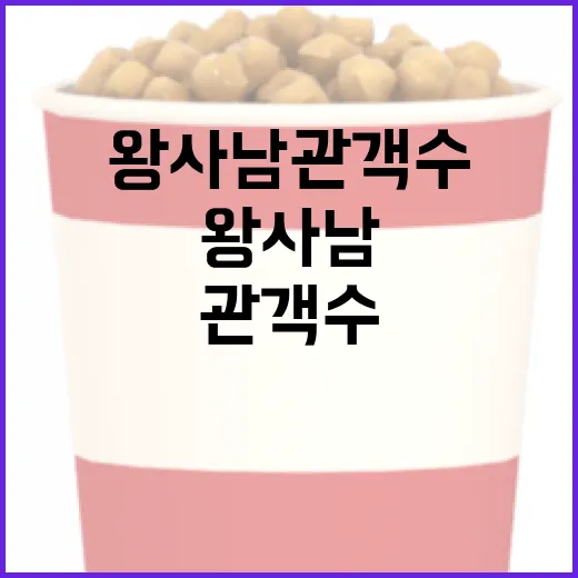 왕사남 관객수를 높이는 방법: 관객과의 소통 전략 - 요약