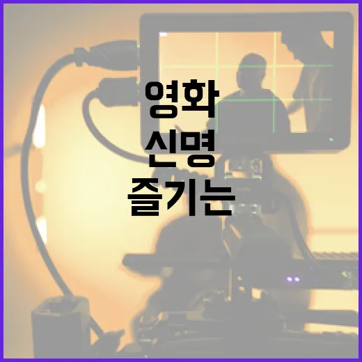 신명 영화를 제대로 즐기는 방법 - 요약