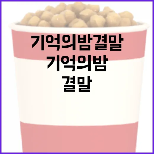 기억의 밤 결말을 이해하는 방법 - 요약