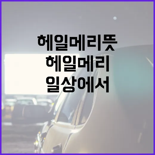 헤일메리 뜻과 일상에서 활용하는 방법 - 요약