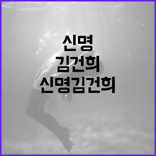 신명 김건희에 대해 알아보는 방법 - 요약