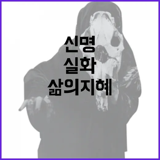 신명 실화를 통해 배우는 삶의 지혜 - 요약