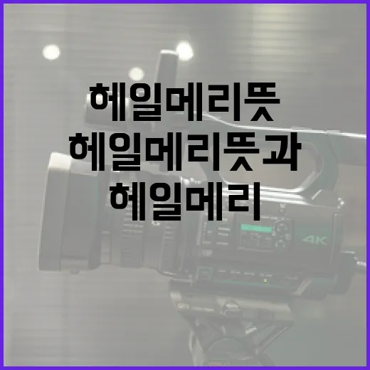 헤일 메리 뜻과 그 활용 방법 - 요약