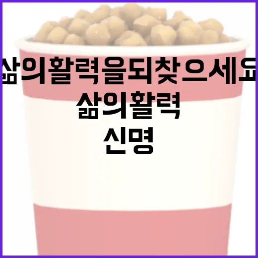 신명을 찾는 방법: 삶의 활력을 되찾으세요 - 요약