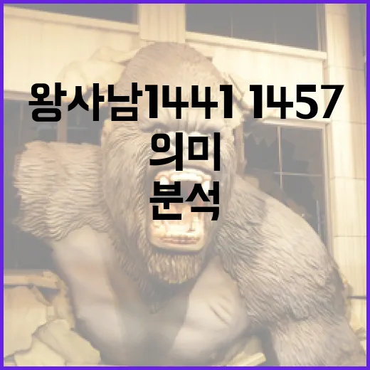 왕사남 1441·1457의 의미를 분석하는 방법 - 요약