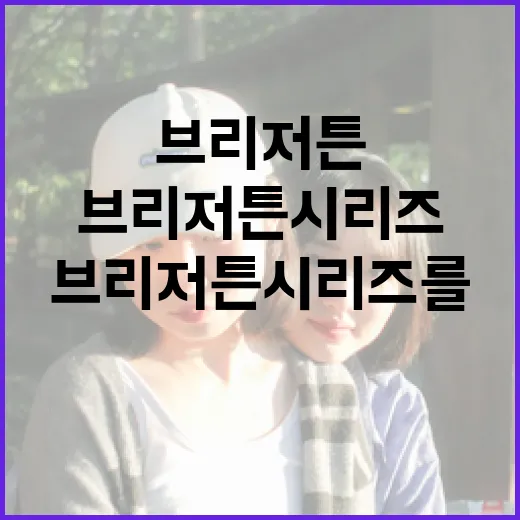 브리저튼 시리즈를 더욱 즐기는 방법 - 요약