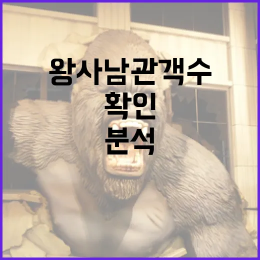 왕사남 관객수를 확인하고 분석하는 방법 - 요약