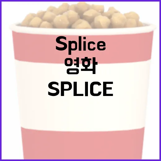 Splice 영화를 이해하는 방법 - 요약