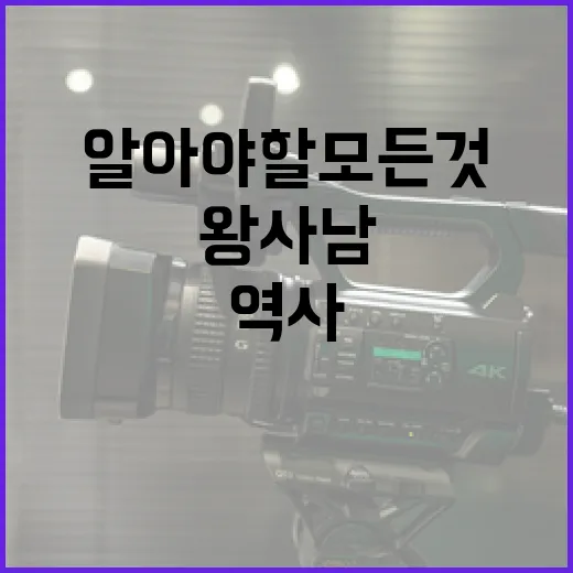 왕사남에 대해 알아야 할 모든 것: 역사와 의미 - 요약