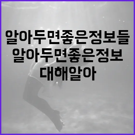 윗집 사람들에 대해 알아두면 좋은 정보들 - 요약