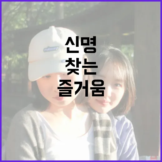 신명을 찾는 방법: 일상 속에서 즐거움을 발견하기 - 요약