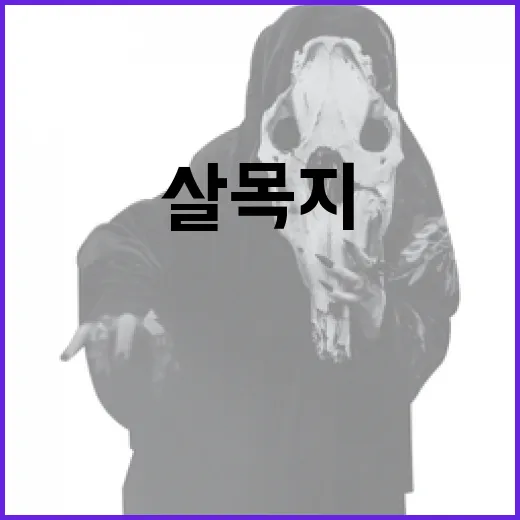 살목지를 이해하고 활용하는 방법 - 요약