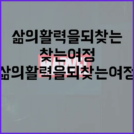 신명을 찾는 방법: 삶의 활력을 되찾는 여정 - 요약