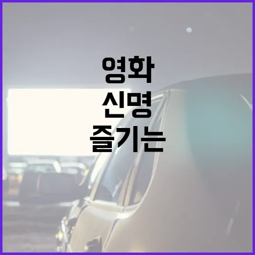 신명 영화를 제대로 즐기는 방법 - 요약