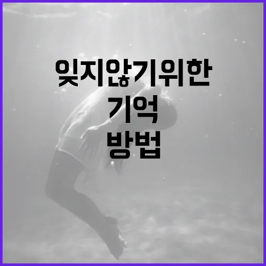 기억의 밤을 잊지 않기 위한 방법 - 요약