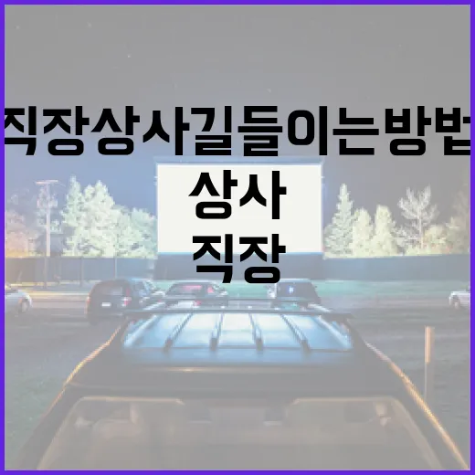 직장상사 길들이는 방법: 스트레스 없이 직장생활 즐기기 - 요약