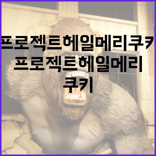 프로젝트 헤일메리 쿠키를 만드는 방법 - 요약