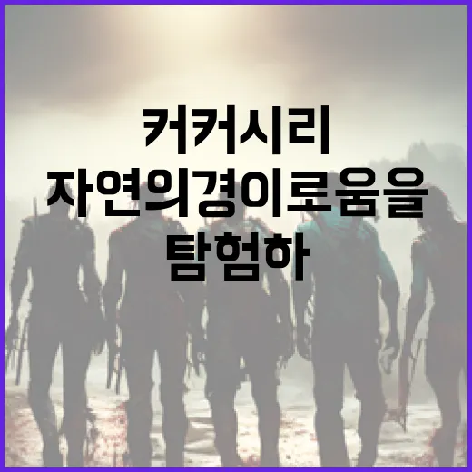 커커시리 탐험하는 방법: 자연의 경이로움을 발견하세요 - 요약