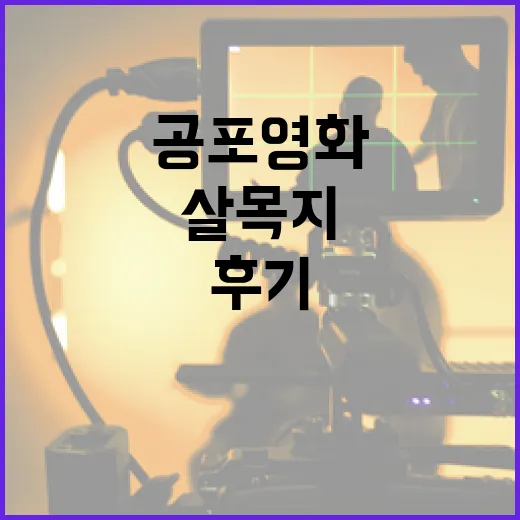 살목지 4DX 공포영화 후기로 스릴 만끽하는 방법 - 요약