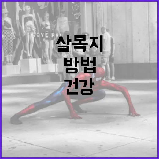 살목지를 활용한 건강한 생활을 시작하는 방법 - 요약