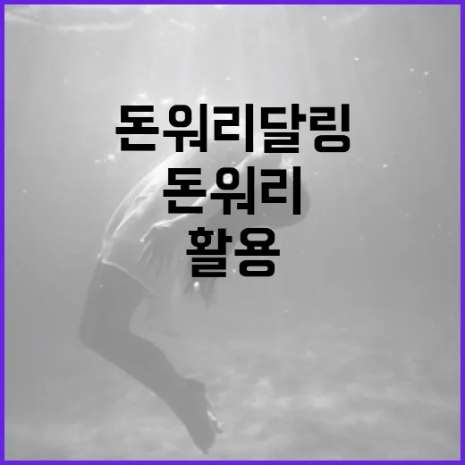 돈워리달링 주제를 이해하고 활용하는 방법 - 요약