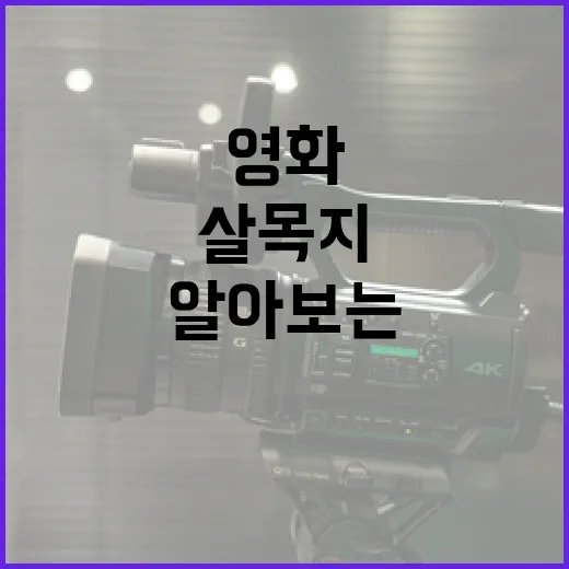 영화 '살목지'에 대해 알아보는 방법 - 요약