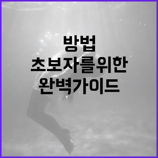 마녀3을 재밌게 즐기는 방법: 초보자를 위한 완벽 가이드 - 요약