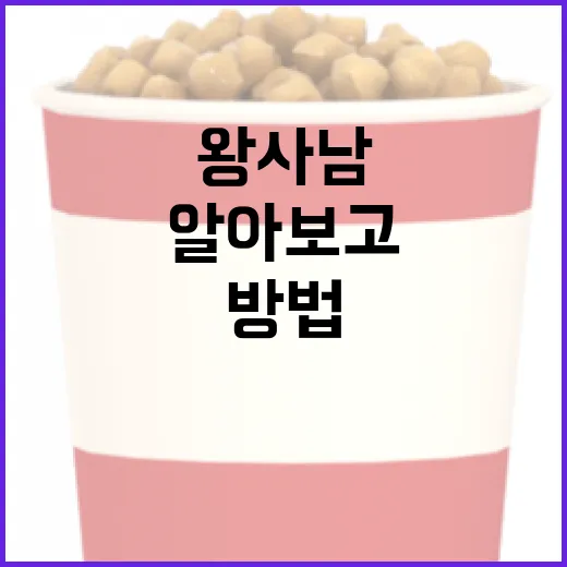왕사남에 대해 알아보고 이해하는 방법 - 요약