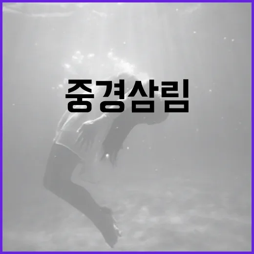 영화 '중경삼림'의 숨겨진 뜻과 이해하는 방법 - 요약