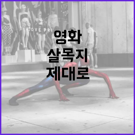살목지 영화를 제대로 이해하는 방법 - 요약