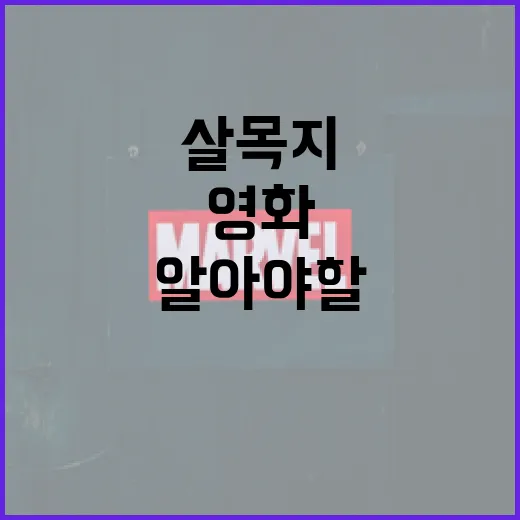 영화 살목지에 대해 알아야 할 모든 것 - 요약