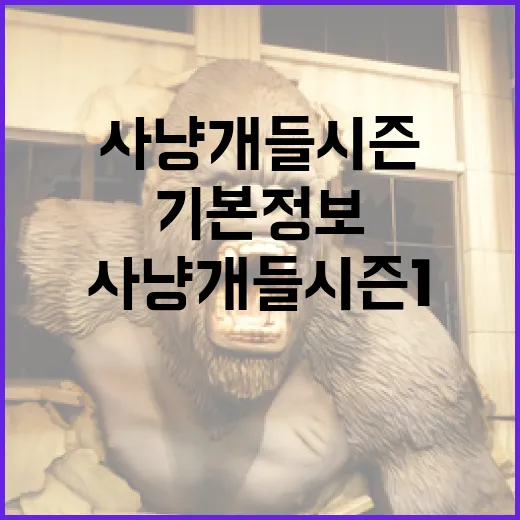 사냥개들 시즌 1의 기본 정보를 알아보는 방법 - 요약