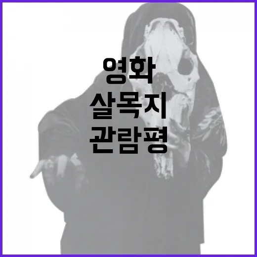 영화 '살목지' 관람평: 놓치지 말아야 할 포인트 - 요약