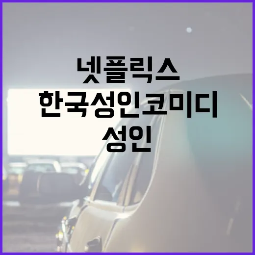 넷플릭스에서 한국 성인코미디 즐기는 방법 - 요약