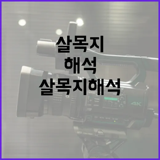 살목지 해석하는 방법과 유용한 팁 - 요약