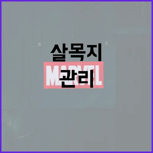 살목지를 효과적으로 관리하는 방법 - 요약