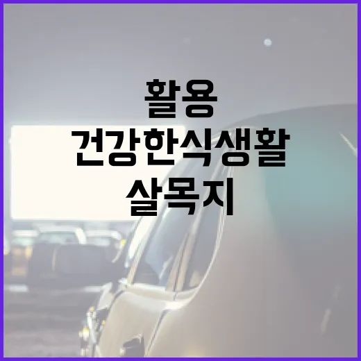 살목지를 활용하여 건강한 식생활을 유지하는 방법 - 요약