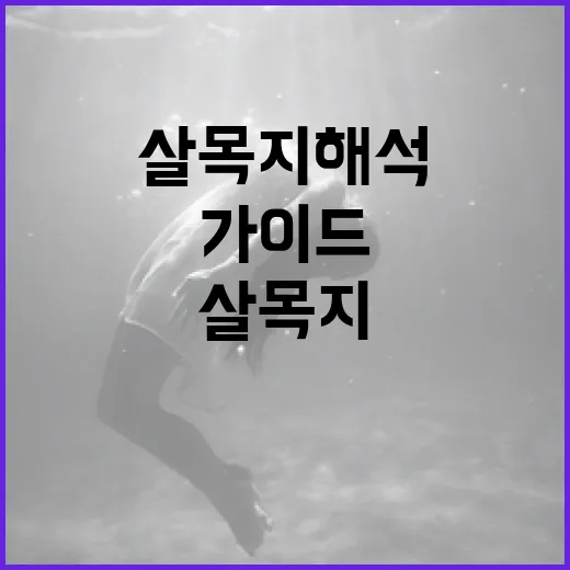 살목지 해석하는 방법: 초보자를 위한 가이드 - 요약