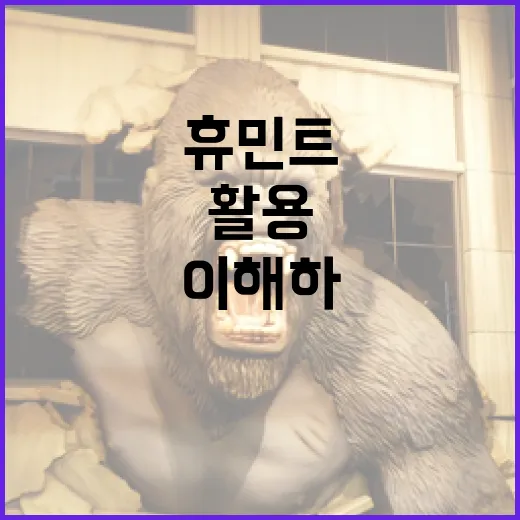 휴민트를 이해하고 활용하는 방법 - 요약