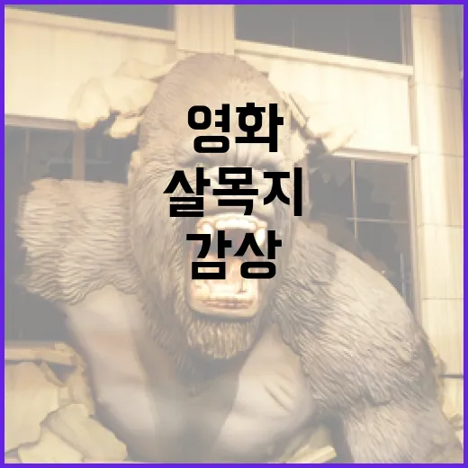 영화 살목지에 대해 알아보고 감상하는 방법 - 요약