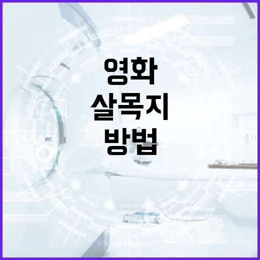 영화 '살목지'를 제대로 이해하는 방법 - 요약