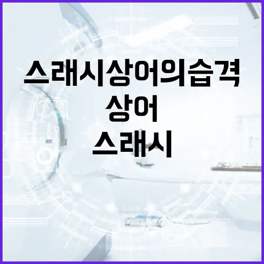 스래시 상어의 습격을 피하는 방법 - 요약